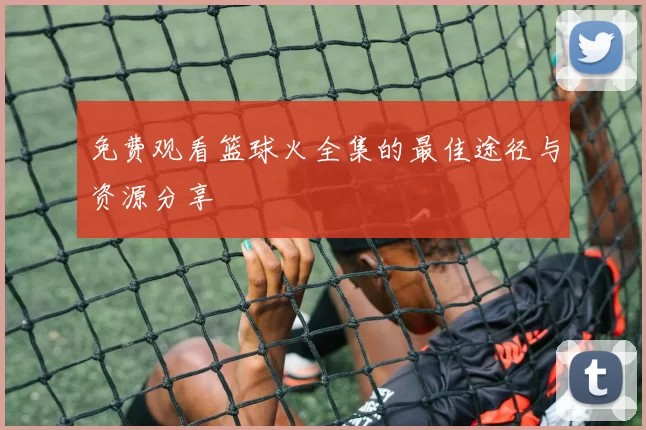 免费观看篮球火全集的最佳途径与资源分享
