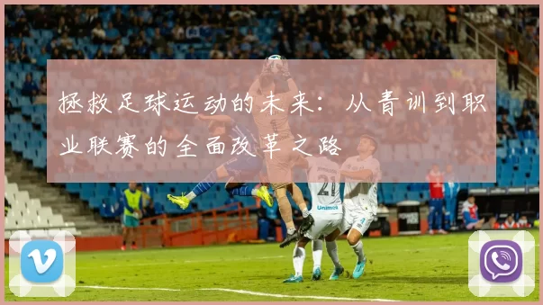 拯救足球运动的未来：从青训到职业联赛的全面改革之路